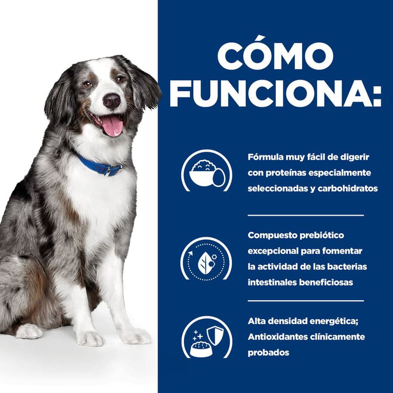 Hill's Prescription Diet Digestive Care i/d pienso para perros, , large image number null